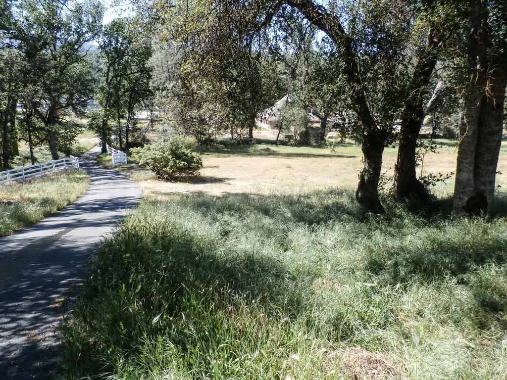 Appartamento Charming Downstairs Unit Oakhurst